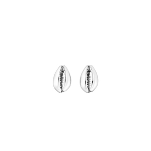 Ohrstecker Cowrie Shell, 925 Sterlingsilber