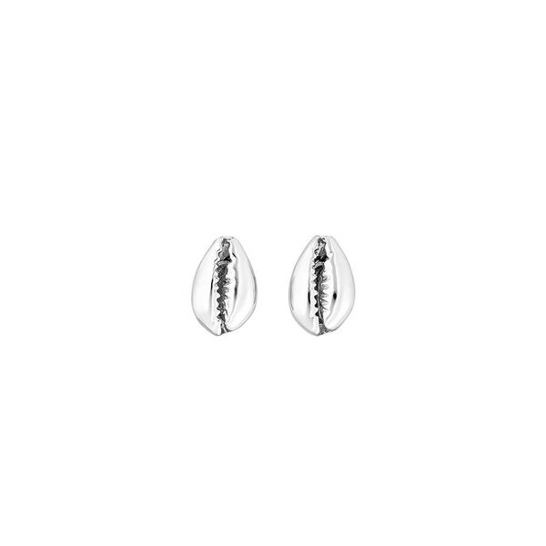 Ohrstecker Cowrie Shell, 925 Sterlingsilber